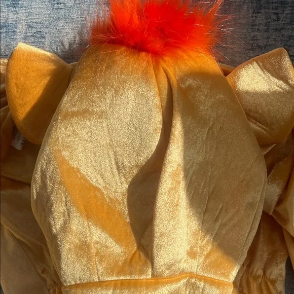 Disney Lion Guard Kion Kids Costume - Size Large Gold & Orange - Picture 4 of 6